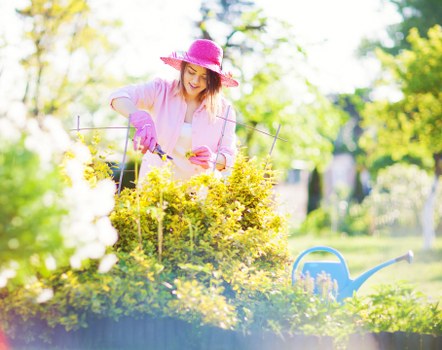 A woman in a pink wide-brimmed hat and gardening gloves is trimming a dense, well-maintained hedge in a sunlit garden with vibrant green foliage. She is focused on shaping the shrubbery with a garden tool, and her activity is situated in a landscaped outdoor space featuring lush grass, flower beds, and a paved pathway partially visible in the background. The setting indicates a tidy, organized garden environment typical of residential properties in Kensington, with natural daylight highlighting the rich textures of the hedge and surrounding plants. A blue watering can and garden tools are placed nearby on the grass, emphasizing ongoing outdoor maintenance work. This scene reflects professional gardening and hedge trimming services provided by Hedge Trimming Kensington, aimed at maintaining the aesthetic appeal and health of garden greenery in the area.